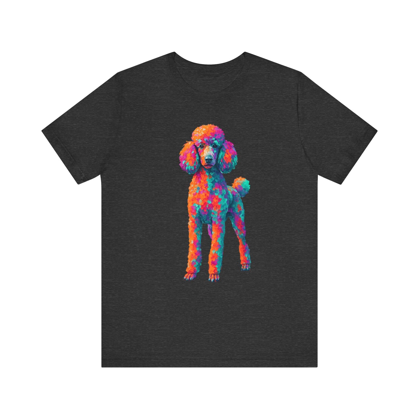 Standard Poodle