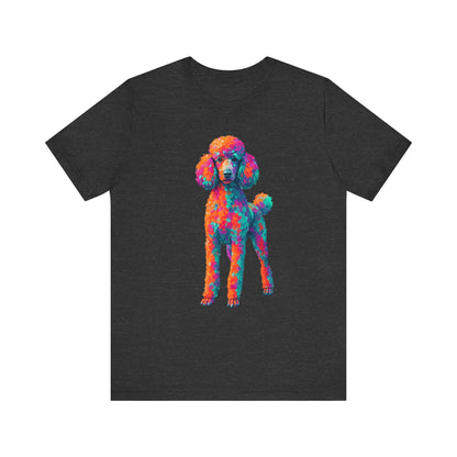 Standard Poodle