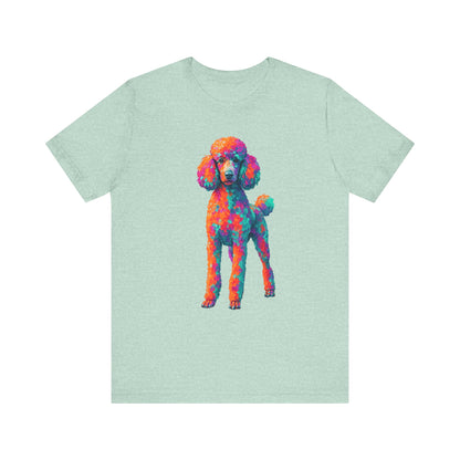 Standard Poodle