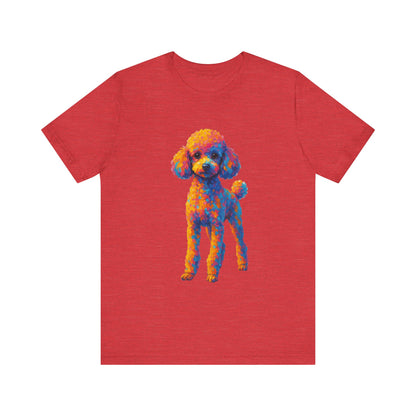 Toy Poodle