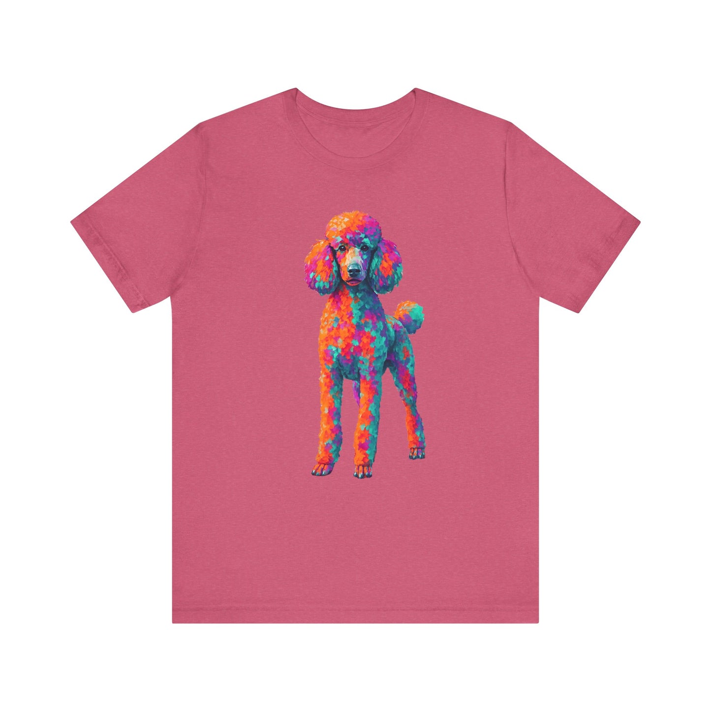 Standard Poodle