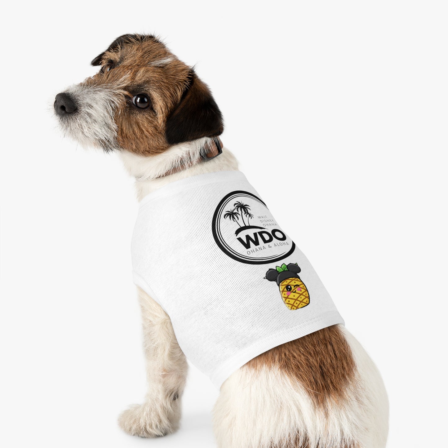 Join the Pip Pack! Your best friend deserves a touch of magic, too!