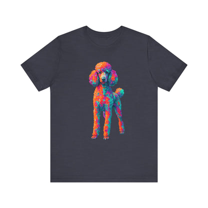 Standard Poodle