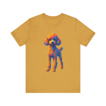 Toy Poodle