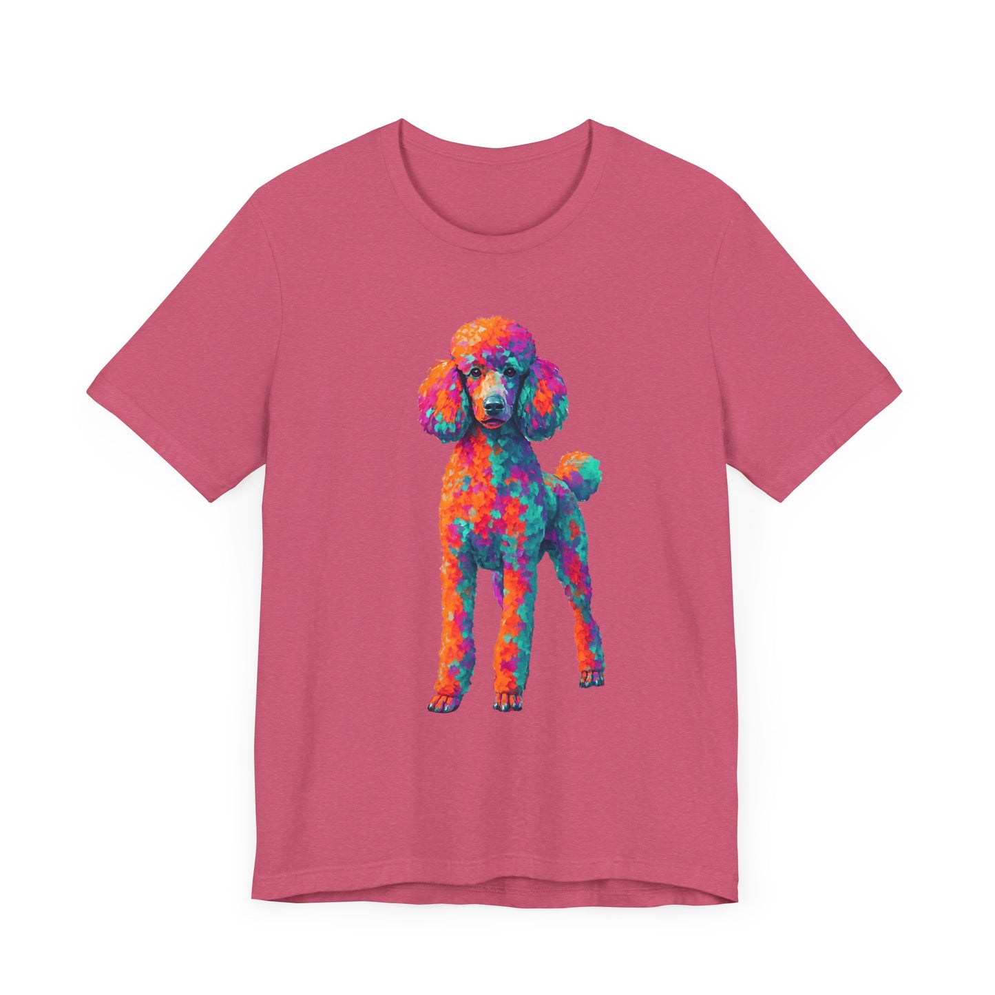 Standard Poodle