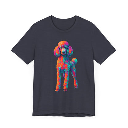 Standard Poodle