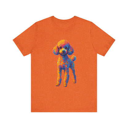 Toy Poodle