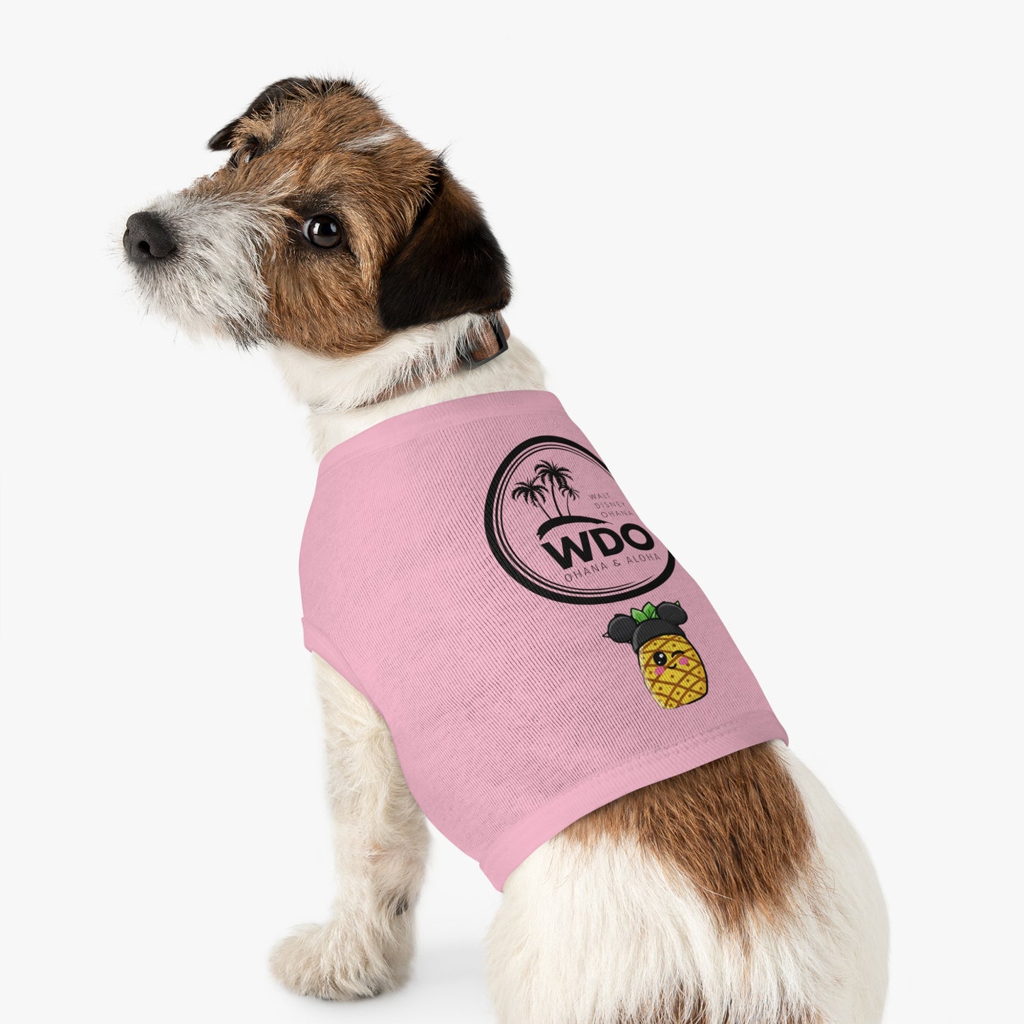 Join the Pip Pack! Your best friend deserves a touch of magic, too!