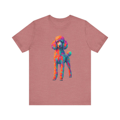 Standard Poodle
